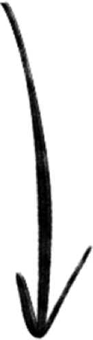 Sticker arrow